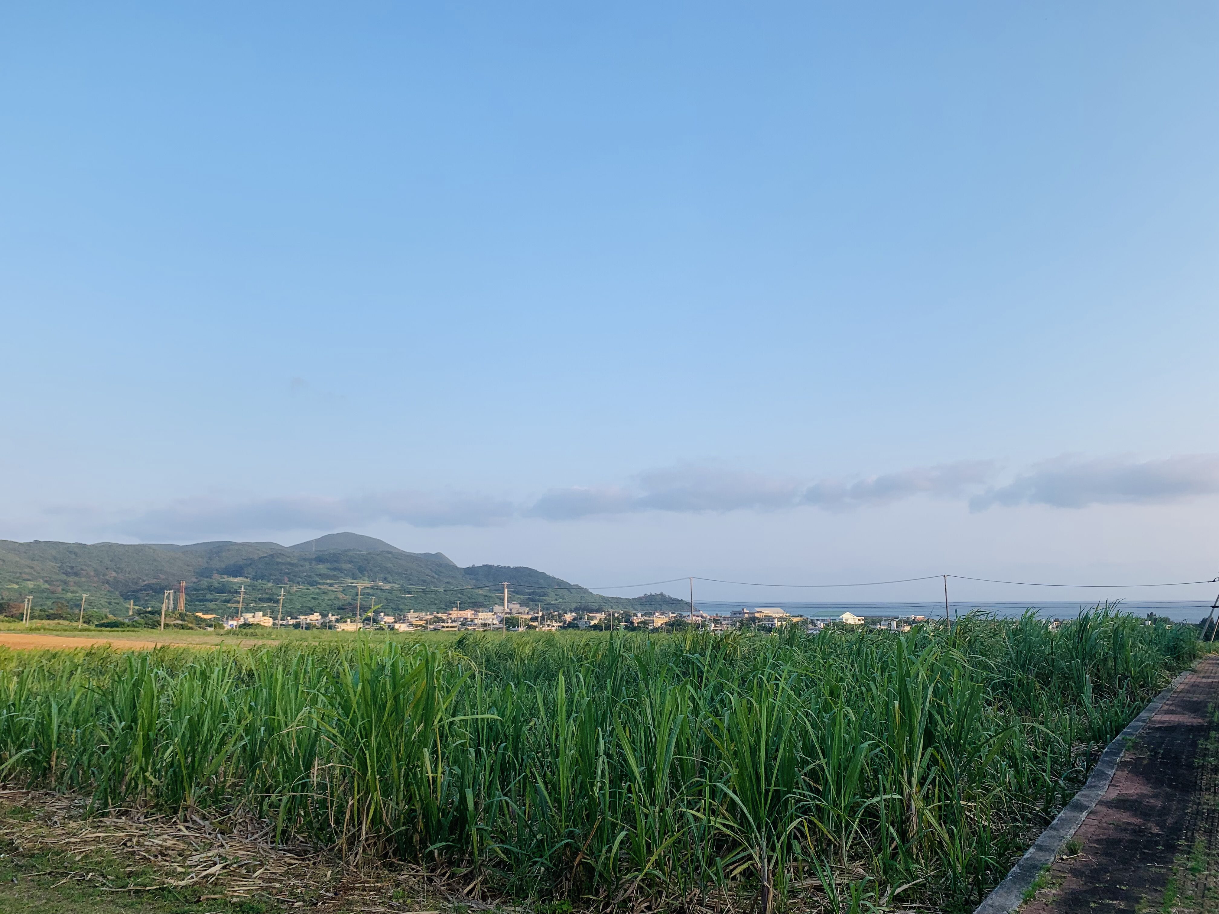離島移住を決断した“行動と思考”のリアル【後編】